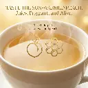 GF23R.webp